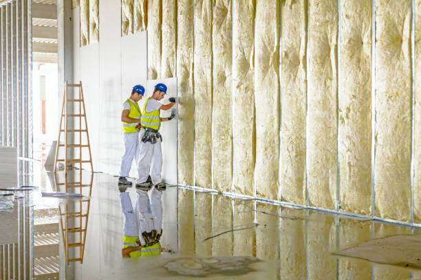 Professional Insulation Contractor in MS